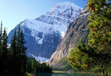 传统佳品百合薏米粥，养生作用一网打尽