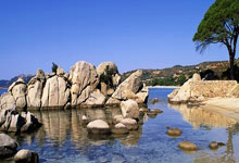 桑拿养生新潮流：品茶排毒两不误(桑拿品茶是什么意思)